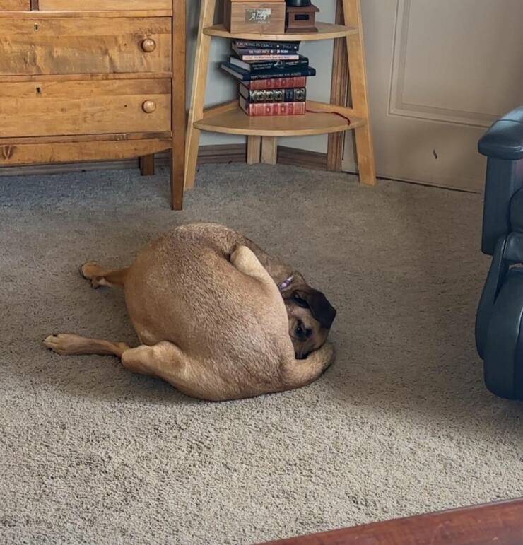 Daily Pictures. Part 2 (64 pics)