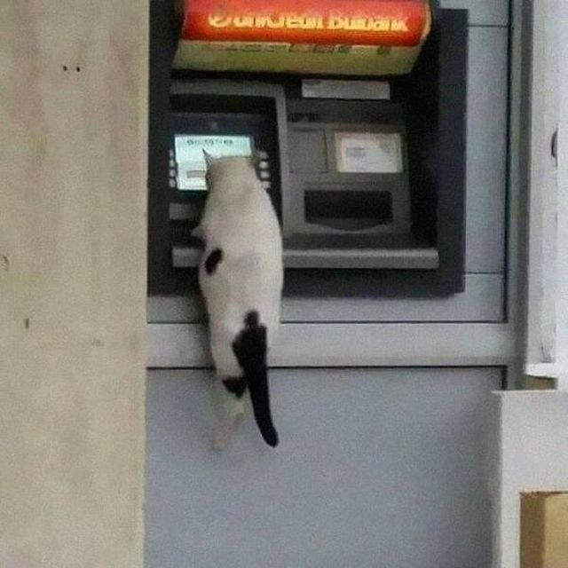 Interesting Photos (16 pics)