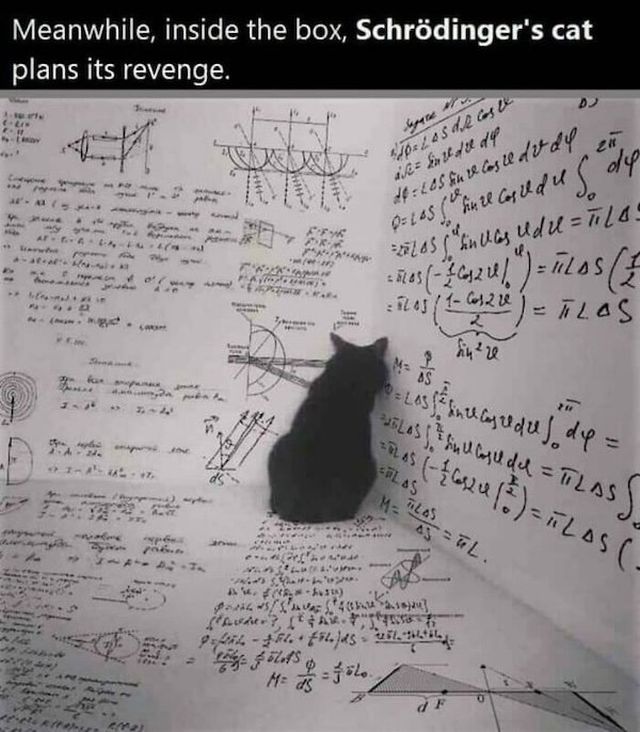 Science Memes (24 pics)