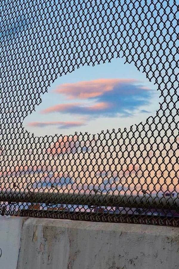 Photos For Perfectionists (20 pics)