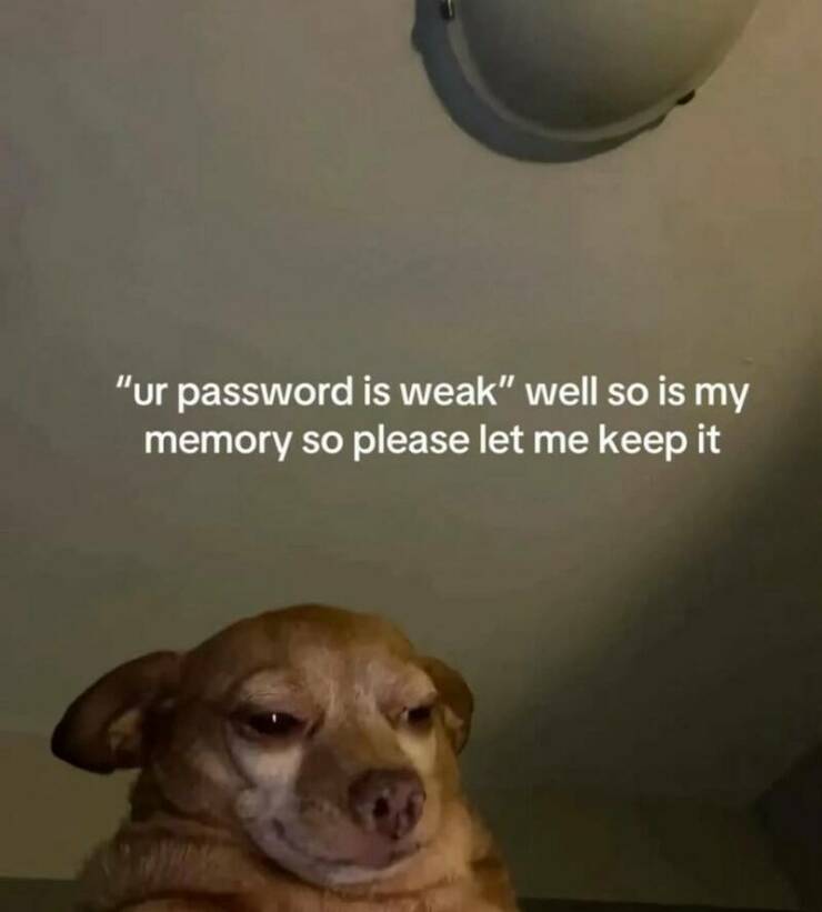 Daily Pictures. Part 2 (58 pics)