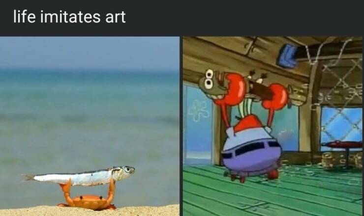 Daily Pictures. Part 2 (58 pics)