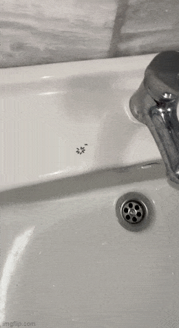 Acid GIFs, April 28 (25 gifs) Acid GIFs, April 28 (25 gifs)