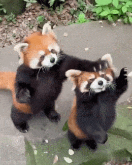 Acid GIFs, April 28 (25 gifs) Acid GIFs, April 28 (25 gifs)