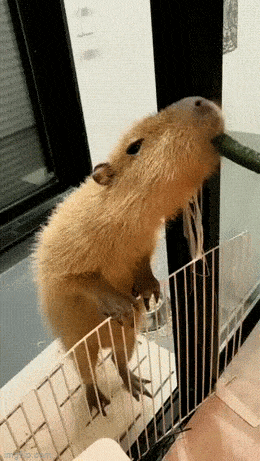 Acid GIFs, April 28 (25 gifs) Acid GIFs, April 28 (25 gifs)