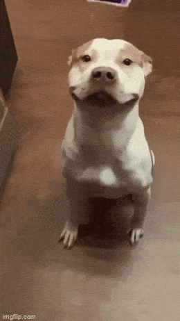 Acid GIFs, April 28 (25 gifs) Acid GIFs, April 28 (25 gifs)