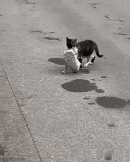 Acid GIFs, April 28 (25 gifs) Acid GIFs, April 28 (25 gifs)