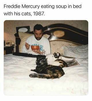 Daily Pictures. Part 1 (54 pics)