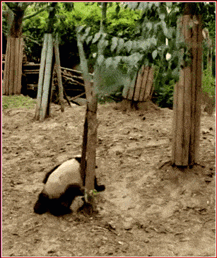 Acid GIFs, April 29 (25 gifs) Acid GIFs, April 29 (25 gifs)