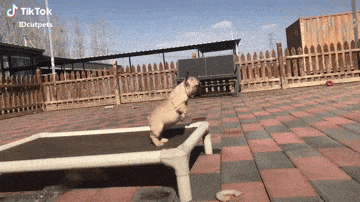 Acid GIFs, April 29 (25 gifs) Acid GIFs, April 29 (25 gifs)