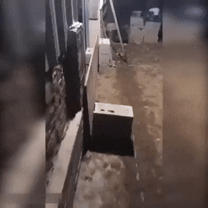 Acid GIFs, April 29 (25 gifs) Acid GIFs, April 29 (25 gifs)