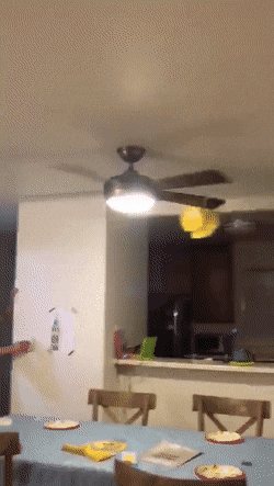 Acid GIFs, April 29 (25 gifs) Acid GIFs, April 29 (25 gifs)
