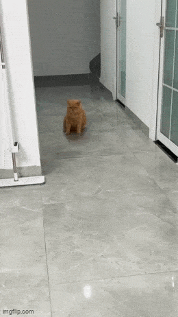 Acid GIFs, April 29 (25 gifs) Acid GIFs, April 29 (25 gifs)