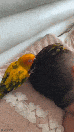 Acid GIFs, April 29 (25 gifs) Acid GIFs, April 29 (25 gifs)