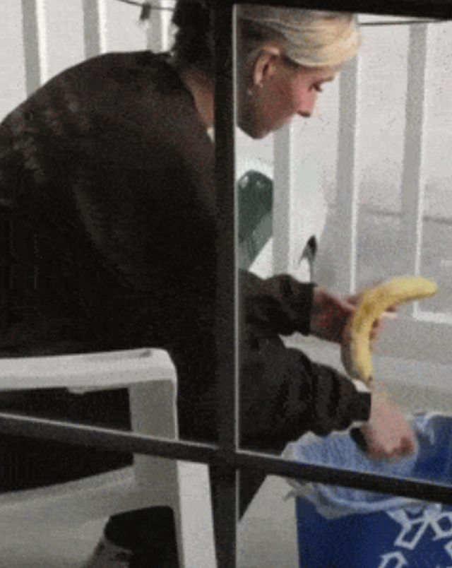 Acid GIFs, April 29 (25 gifs)