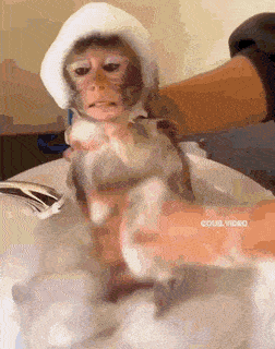 Acid GIFs, April 30 (25 gifs) Acid GIFs, April 30 (25 gifs)