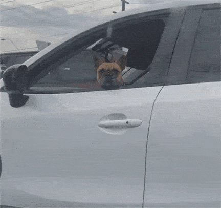Acid GIFs, April 30 (25 gifs) Acid GIFs, April 30 (25 gifs)