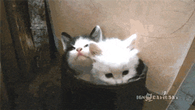 Acid GIFs, April 30 (25 gifs) Acid GIFs, April 30 (25 gifs)