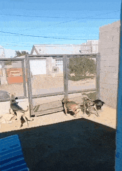 Acid GIFs, April 30 (25 gifs) Acid GIFs, April 30 (25 gifs)