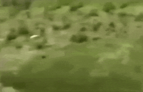 Acid GIFs, April 30 (25 gifs) Acid GIFs, April 30 (25 gifs)