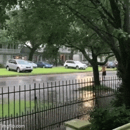 Acid GIFs, April 30 (25 gifs) Acid GIFs, April 30 (25 gifs)