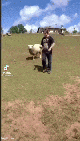 Acid GIFs, April 30 (25 gifs) Acid GIFs, April 30 (25 gifs)