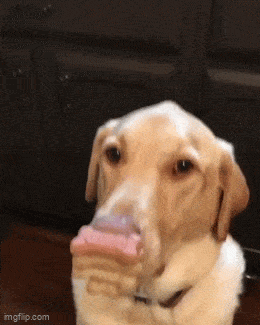 Acid GIFs, April 30 (25 gifs) Acid GIFs, April 30 (25 gifs)