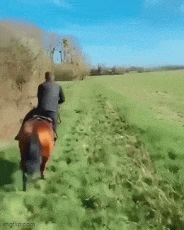 Acid GIFs, April 30 (25 gifs) Acid GIFs, April 30 (25 gifs)