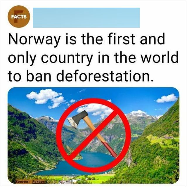 Random Facts (24 pics)