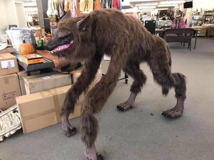 Unusual Finds In Thrift Shops (20 pics)