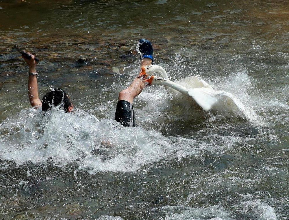 Bad Days Happen (25 pics)