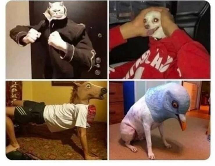 Daily Pictures. Part 1 (53 pics)