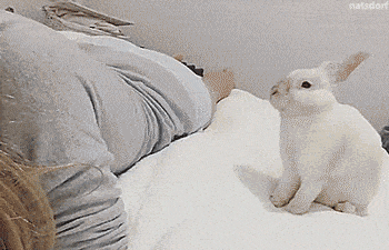 Acid GIFs, May 1 (25 gifs) Acid GIFs, May 1 (25 gifs)