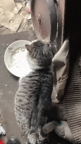 Acid GIFs, May 1 (25 gifs) Acid GIFs, May 1 (25 gifs)