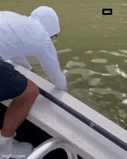 Acid GIFs, May 1 (25 gifs) Acid GIFs, May 1 (25 gifs)