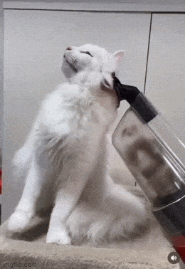 Acid GIFs, May 1 (25 gifs) Acid GIFs, May 1 (25 gifs)