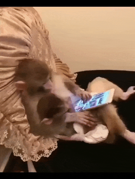 Acid GIFs, May 1 (25 gifs)