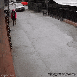Acid GIFs, May 1 (25 gifs) Acid GIFs, May 1 (25 gifs)