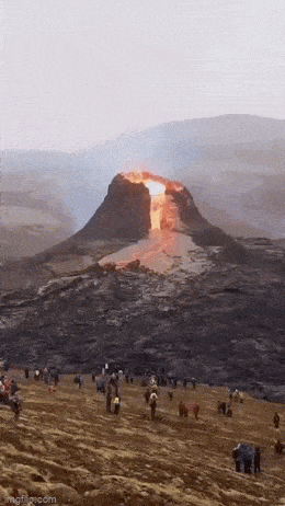 Acid GIFs, May 1 (25 gifs) Acid GIFs, May 1 (25 gifs)