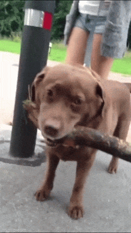 Acid GIFs, May 1 (25 gifs) Acid GIFs, May 1 (25 gifs)