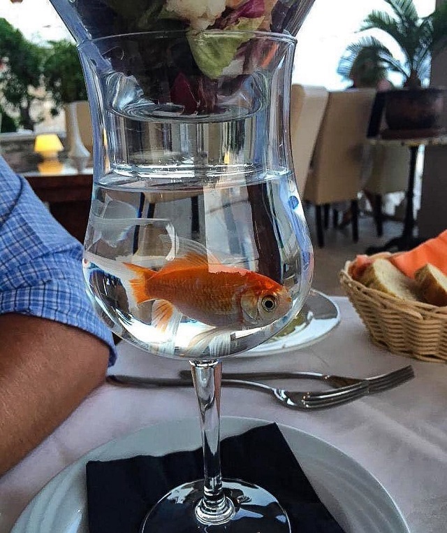 Crazy Food Serving (20 pics)