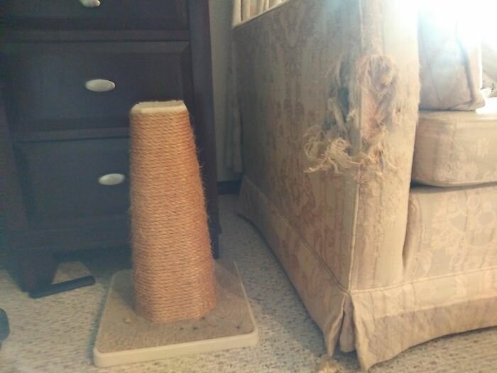 Annoying Situations (21 pics)
