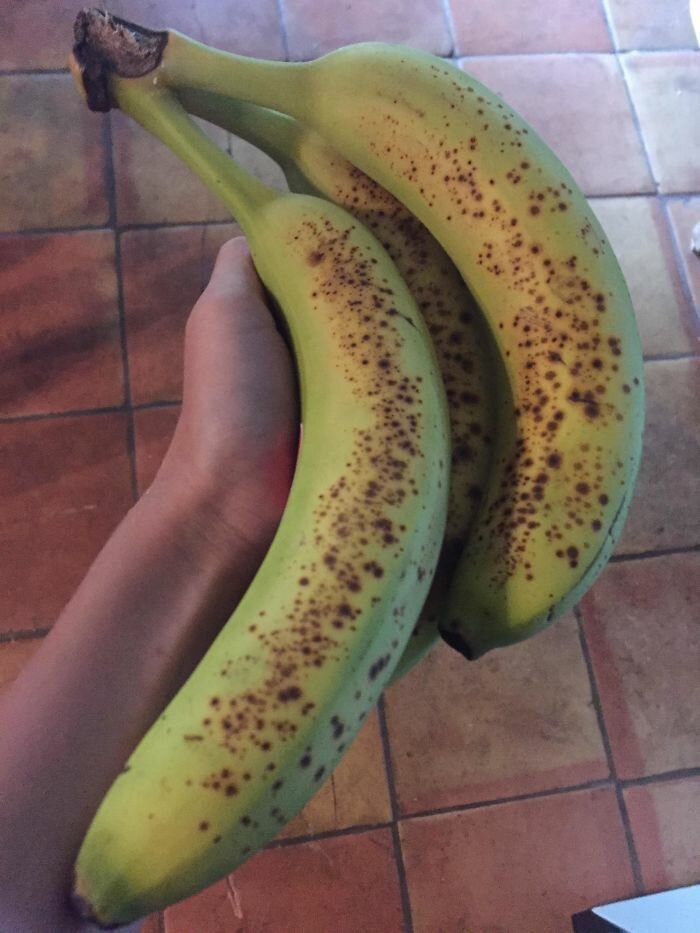 Annoying Situations (21 pics)