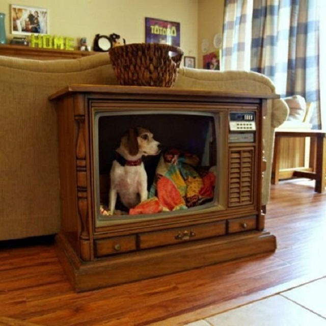 Unusual DIY Interiors (20 pics)