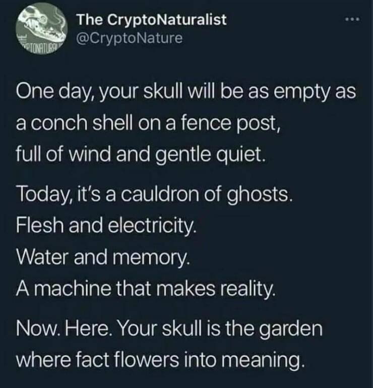 Daily Pictures. Part 2 (55 pics)
