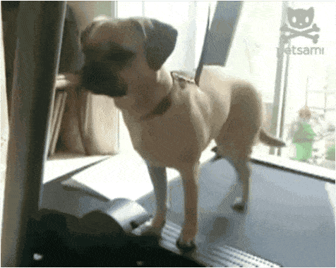 Acid GIFs, May 2 (25 gifs) Acid GIFs, May 2 (25 gifs)