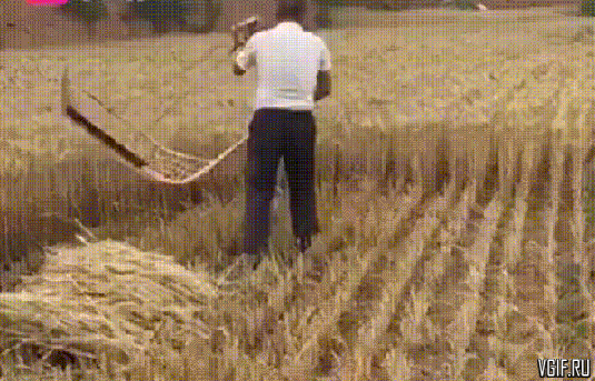Acid GIFs, May 2 (25 gifs) Acid GIFs, May 2 (25 gifs)