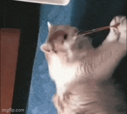 Acid GIFs, May 2 (25 gifs) Acid GIFs, May 2 (25 gifs)