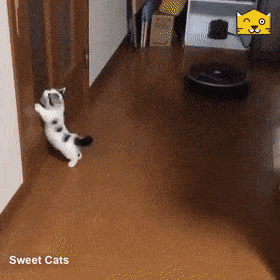 Acid GIFs, May 2 (25 gifs) Acid GIFs, May 2 (25 gifs)