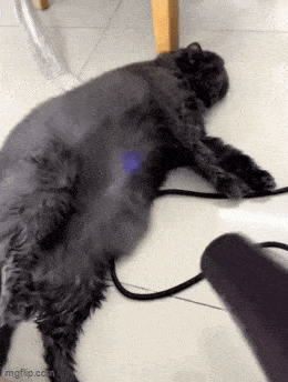 Acid GIFs, May 2 (25 gifs)